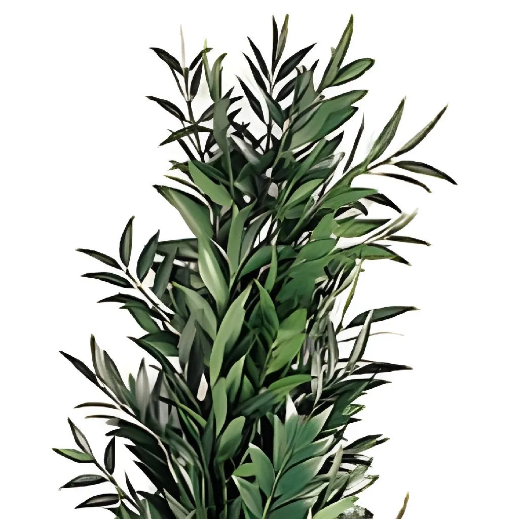 Nagi Greens Garland