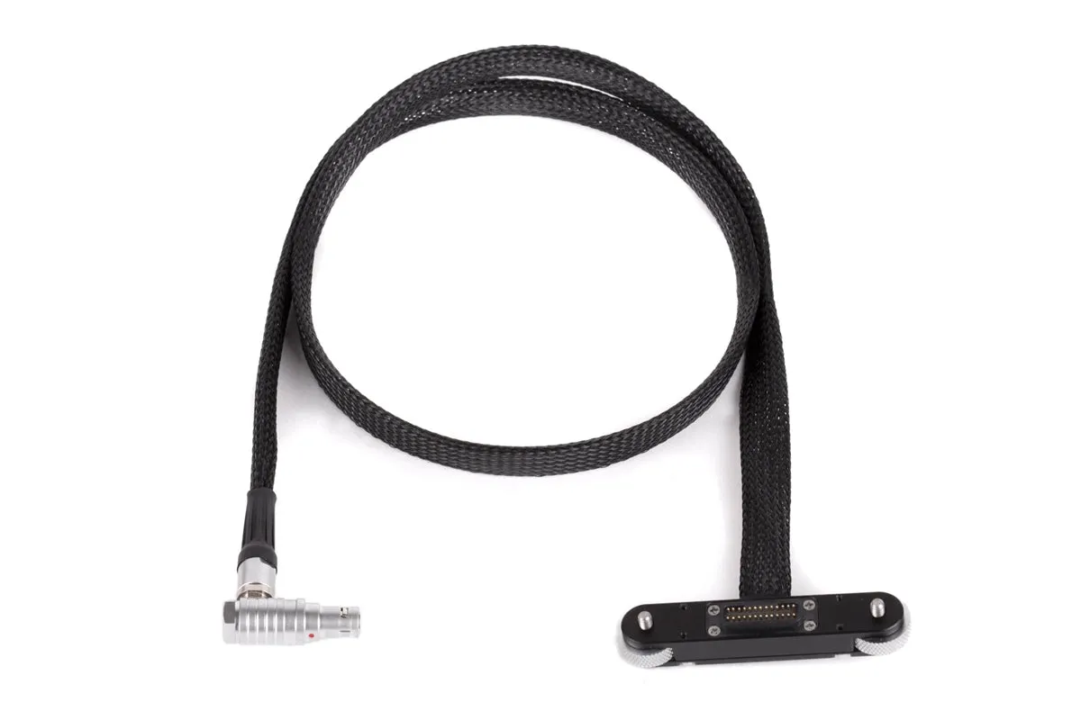 RED® Male Pogo to Male LCD/EVF Cable (36in/92cm, RED® DSMC2™)