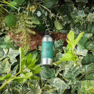 Wild Mint Fragrance Oil